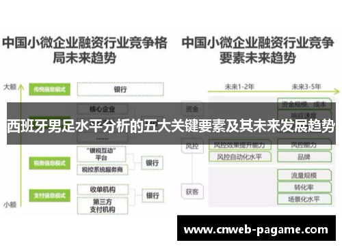 西班牙男足水平分析的五大关键要素及其未来发展趋势 西班牙男足水平分析的五大关键要素及其未来发展趋势