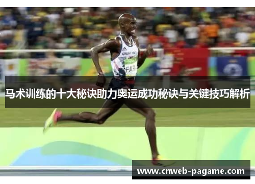 马术训练的十大秘诀助力奥运成功秘诀与关键技巧解析 马术训练的十大秘诀助力奥运成功秘诀与关键技巧解析